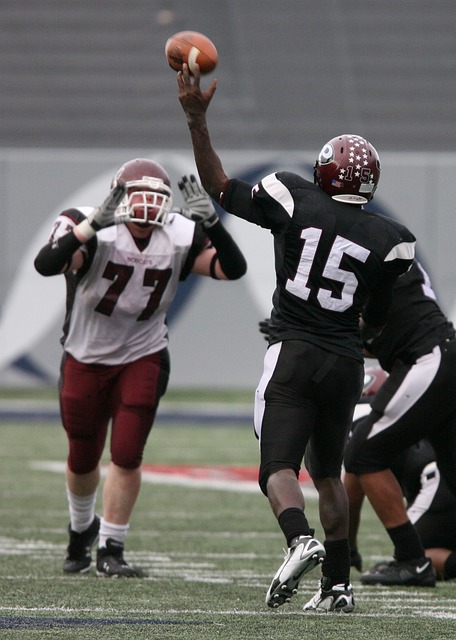 尽管占据主 尽管占据主