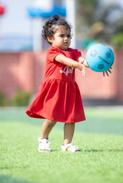球队的核心 球队的核心