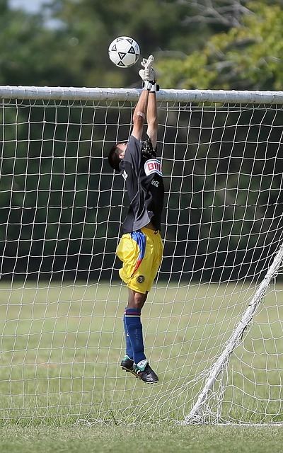 转会市场 转会市场