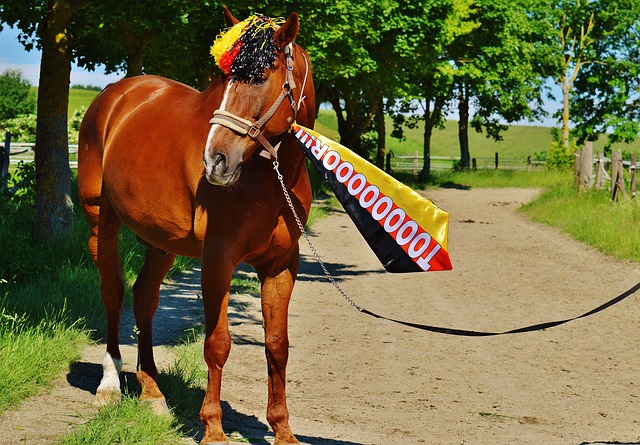 府的重要任 府的重要任