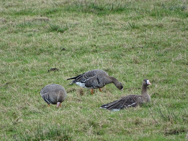 評估可能 評估可能