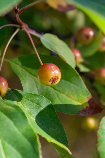 比赛中最受 比赛中最受