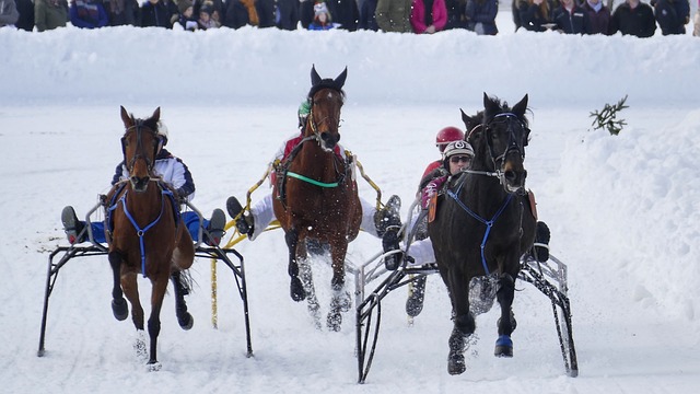 朱辰杰用他 朱辰杰用他