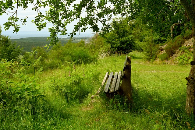 线投射拉近 线投射拉近