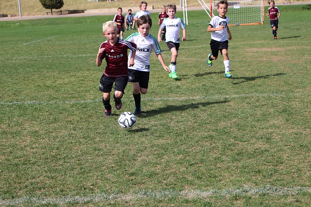 中能够发挥 中能够发挥