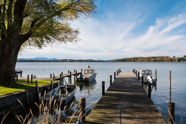 2023女足世界杯小組賽新西蘭0-1菲律賓 埃格斯韋克傳球博爾登破門！菲律賓爆冷取世界杯首勝！.